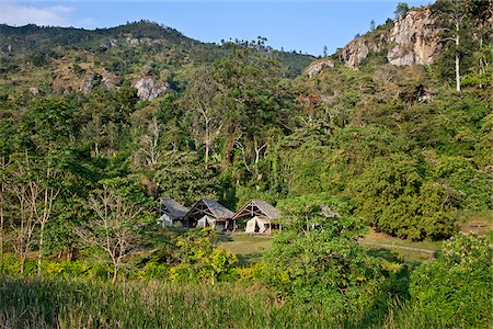 simsearch:862-03731765,k - Activité sous chapiteau et séjournez dans une ferme près de Soni dans l'Arc de l'ouest des monts Usambara. Photographie de stock - Rights-Managed, Code: 862-03808655