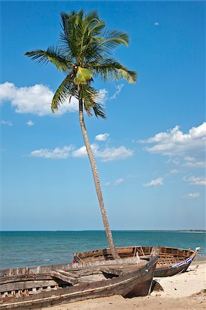 dhow - Old wooden boats and a coconut palm at Bagamoyo. Stock Photo - Rights-Managed, Code: 862-03808673