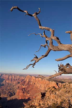 simsearch:862-08274053,k - USA, Arizona, Grand Canyon National Park.   View over the southern rim of the canyon from the Desert View Watchtower Foto de stock - Con derechos protegidos, Código: 862-03808750