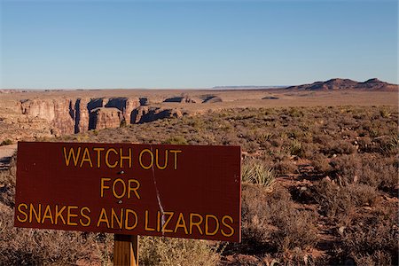 desert reptile animal - USA, Arizona, near Mojave a sign warns of the presence of snakes, notably rattlers, and lizards Stock Photo - Rights-Managed, Code: 862-03808752