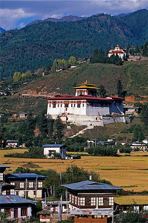 simsearch:862-03712095,k - Paro is Bhutans second largest town.The western end of the Paro valley is only 20 kms from the Tibetan border and for centuries it has been the first point of entry into Bhutan for Tibetans either invading armies or traders. Foto de stock - Con derechos protegidos, Código: 862-03820174