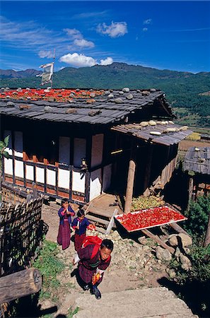 simsearch:862-05996917,k - Un commerçant local sèche des piments rouges sur le toit de sa maison, un des spectacles plus courantes en Bhutan.Paro est la deuxième plus grande ville du Bhoutan.L'extrémité ouest de la vallée de Paro est seulement 20 km de la frontière tibétaine, et pendant des siècles, il a été le premier point d'entrée au Bhoutan pour les Tibétains. Photographie de stock - Rights-Managed, Code: 862-03820175