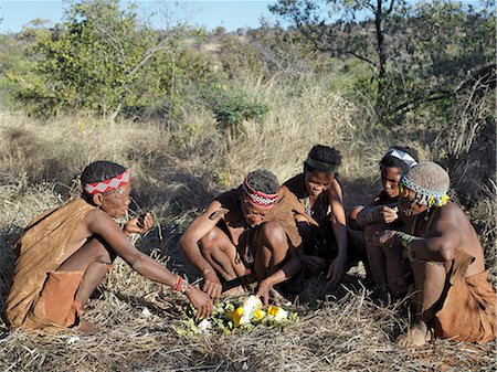 A group of NIIS hunter gatherers enjoy eating an ostrich egg, which has been baked in the embers of a fire.The NIIS are a part of the San people, often referred to as Bushmen.They differ in appearance from the rest of black Africa having yellowish skin and being lightly boned, lean and muscular. Stock Photo - Rights-Managed, Code: 862-03820236