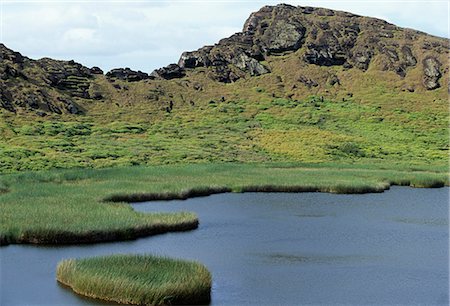 simsearch:632-05845137,k - Inside the cone of Rano Raraku volcano is a lake fringed by totoro reeds. Each year, this is the scene of a traditional triathlon in which Rapa Nui men compete by paddling rafts of totoro reeds, swimming, and running with heavy bunches of bananas up to the summit of the crater. Stock Photo - Rights-Managed, Code: 862-03820252