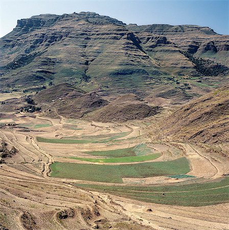 simsearch:841-02918765,k - L'Ethiopie est un pays de vastes horizons et paysages spectaculaires. Les montagnes altérées dans les hauts plateaux éthiopiens pièce couche après couche de matériaux volcaniques, qui construit le plateau dans la plus grande région des hautes terres d'Afrique.L'agriculture constitue le fond de l'économie du pays avec 90 pour cent de sa population de gagner sa vie de la terre. Photographie de stock - Rights-Managed, Code: 862-03820379