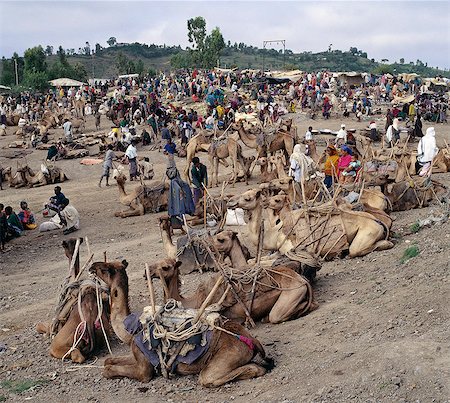 simsearch:862-03808442,k - Situé au sommet de l'escarpement ouest du Rift Abyssin, le marché hebdomadaire à Bati est que le plus grand marché de plein air en Ethiopia.Nomads et de leurs chameaux trek longue distance la basse dures se trouvant déserts pour le troc avec les fermiers Amhara et Oromo vivant dans les hautes terres fertiles.Produire toutes sortes de ferme, animaux d'élevage et des articles ménagers sont proposés à la vente. Photographie de stock - Rights-Managed, Code: 862-03820384