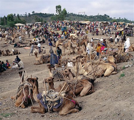 simsearch:862-08718720,k - Situated on top of the western scarp of the Abyssinian Rift, the weekly market at Bati is the largest open air market in Ethiopia.Nomads and their camels trek long distances from the harsh low lying deserts to barter with Amhara and Oromo farmers living in the fertile highlands.All manner of farm produce, livestock and household items are offered for sale. Stock Photo - Rights-Managed, Code: 862-03820384