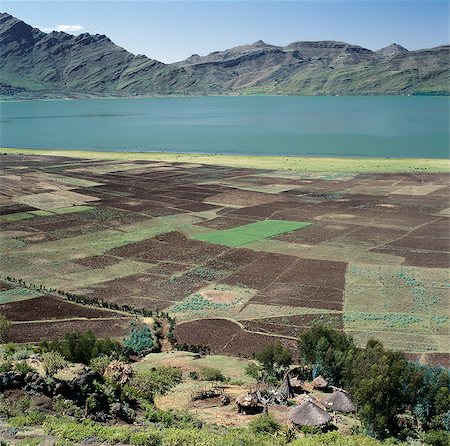 Fertile farming land surrounds Lake Ashange in northern Ethiopia.Ethiopia is a land of vast horizons and dramatic scenery. The weathered mountains in the Ethiopian Highlands exhibit layer upon layer of volcanic material, which built the plateau into Africas most extensive upland region. Foto de stock - Con derechos protegidos, Código: 862-03820381