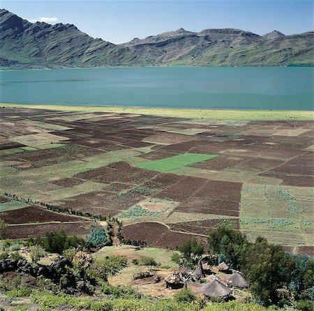 ethiopian house - Agricoles avoisinants de terre fertile lac Ashange en Ethiopia.Ethiopia du nord est une terre de vastes horizons et paysages spectaculaires. Les montagnes altérées dans les hauts plateaux éthiopiens pièce couche après couche de matériaux volcaniques, qui construit le plateau dans la plus grande région des hautes terres d'Afrique. Photographie de stock - Rights-Managed, Code: 862-03820381