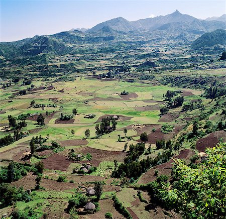 Rich farming country close to the western scarp of the Abyssinian Rift, just north of Debre Sina. Ethiopia is a land of vast horizons and dramatic scenery. Every inch of fertile land is cultivated by hand to feed Ethiopia's population of over 60 million.Agriculture forms the background of the countrys economy with 90 percent of its population earning a living from the land. Stock Photo - Rights-Managed, Code: 862-03820400