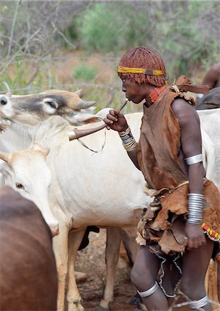 simsearch:862-03820457,k - A Hamar woman dances around cattle while she blows a tin trumpet at a Jumping of the Bull ceremony.The Hamar are semi nomadic pastoralists of Southwest Ethiopia whose women wear striking traditional dress and style their red ochred hair mop fashion.The Jumping of the Bull ceremony is a rite of passage for young men. Stock Photo - Rights-Managed, Code: 862-03820521