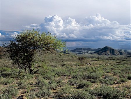 simsearch:862-03355180,k - Semi arid thorn scrub best describes the vegetation of northern Samburuland where semi nomadic pastoralists eke out a living from an unforgiving land. The region is characterised by grand vistas, poor soil and an unreliable rainfall. Stock Photo - Rights-Managed, Code: 862-03820675