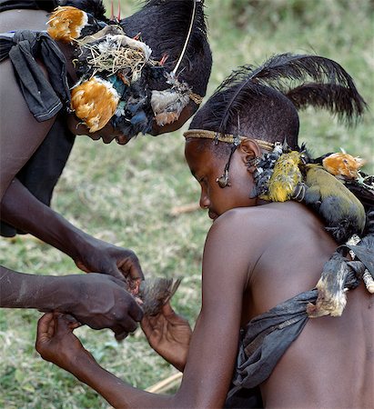 Samburu initiates skin a bird without the use of a knife.While their wounds heal for a month after circumcision, initiates spend their time wandering in the countryside attempting to kill as many birds as they can with a club and four blunt arrows. When a bird is killed, it is skinned, stuffed with dry grass and attached to the boy's headband by means of its beak. Stock Photo - Rights-Managed, Code: 862-03820698