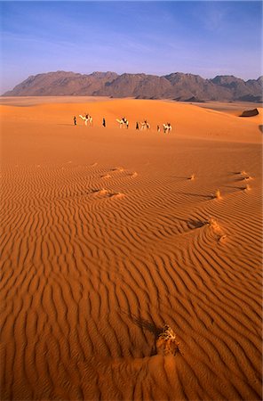 Niger, Tenere Desert.Camel Caravan travelling through the Air Mountains & Tenere Desert.This is the largest protected area in Africa, covering over 7.7 million hectares. Fotografie stock - Rights-Managed, Codice: 862-03820897