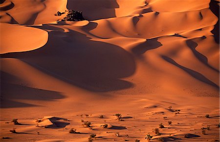 sahara desert terrain - Niger, Tenere Desert.Sand dunes within the extinct Caldera of Arakao.This is the largest protected area in Africa, covering over 7.7 million hectares. Stock Photo - Rights-Managed, Code: 862-03820893