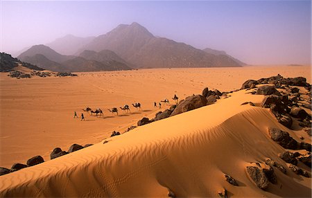 safari destination - Niger, Tenere Desert.Camel caravane qui transitent par le Desert.This de montagnes & Tenere Air est la plus grande aire protégée en Afrique, couvrant plus de 7,7 millions d'hectares. Photographie de stock - Rights-Managed, Code: 862-03820900