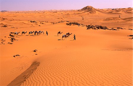 Niger, Tenere Desert.Camel Caravan travelling through the Air Mountains & Tenere Desert.This is the largest protected area in Africa, covering over 7.7 million hectares. Fotografie stock - Rights-Managed, Codice: 862-03820901