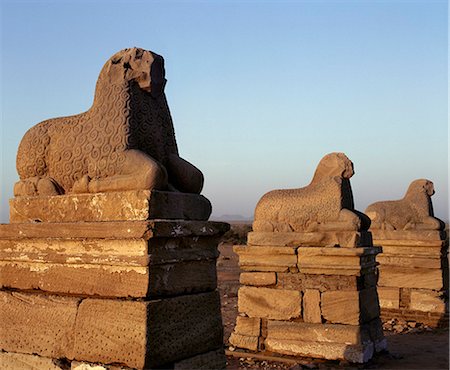 simsearch:862-03354000,k - Baigné dans la lumière du soleil tôt le matin, une colonne de béliers représentent Amon en dehors des ruines de l'un des quatre temples situés à côté d'un wadi important à Naga à quelque 30 km du Nil. Photographie de stock - Rights-Managed, Code: 862-03820967