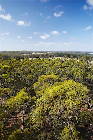 pemberton - View over Gloucester National Park, Pemberton, Western Australia, Australia Fotografie stock - Rights-Managed, Codice: 862-03887146