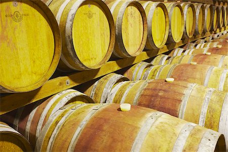 Wine cellar in Salitage winery, Pemberton, Western Australia, Australia Stock Photo - Rights-Managed, Code: 862-03887165