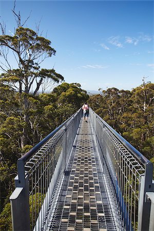 Man walking on Treetop Walk in Valley of the Giants, Walpole, Western Australia, Australia Stock Photo - Rights-Managed, Code: 862-03887167