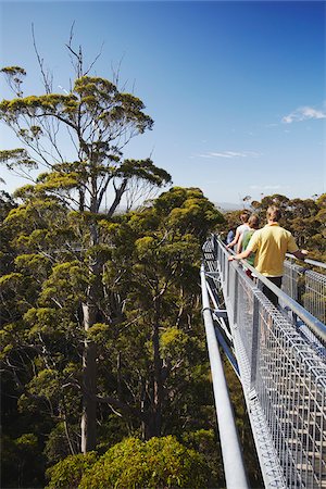 simsearch:862-03887261,k - People walking on Treetop Walk in Valley of the Giants, Walpole, Western Australia, Australia Foto de stock - Direito Controlado, Número: 862-03887168