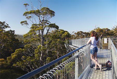 simsearch:862-03887261,k - Femme sur Treetop Walk dans la vallée des géants, Walpole, Australie-occidentale, Australie Photographie de stock - Rights-Managed, Code: 862-03887172