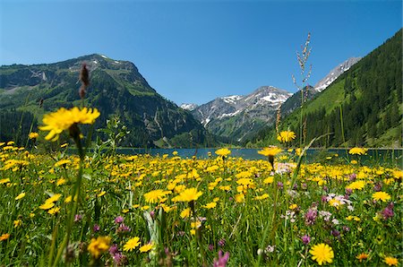 Lake Vilsalpsee, Tannheim Valley, Austria Stock Photo - Rights-Managed, Code: 862-03887303