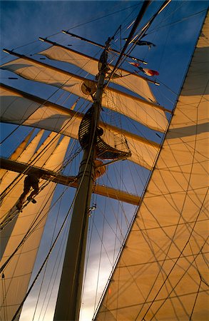 simsearch:862-03887679,k - Star Flyer, un des Star Clippers navires. Passagers sont souvent autorisés à grimper les mâts du Star Flyer, un trois-mâts barque-goélette utilisé principalement pour des croisières haut de gamme. Photographie de stock - Rights-Managed, Code: 862-03887682