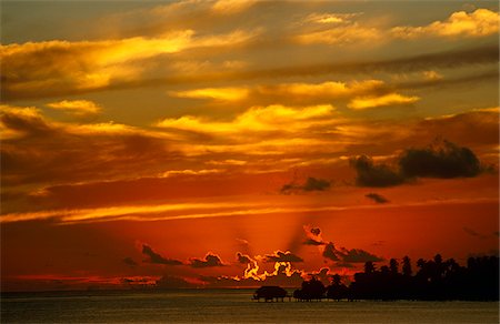 French Polynesia, Society Islands, Leeward Islands. A brilliant sunset frames a Polynesian idyll of over water bungalows set in an island lagoon. Foto de stock - Con derechos protegidos, Código: 862-03887683