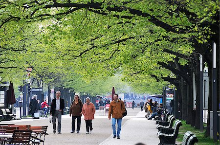 The Unter den Linden boulevard at the heart of the historic centre of Berlin. Berlin, Germany Fotografie stock - Rights-Managed, Codice: 862-03887819