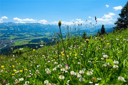 Mittagberg Mountains, Immenstadt, Allgaeu, Bavaria, Germany Stock Photo - Rights-Managed, Code: 862-03888061