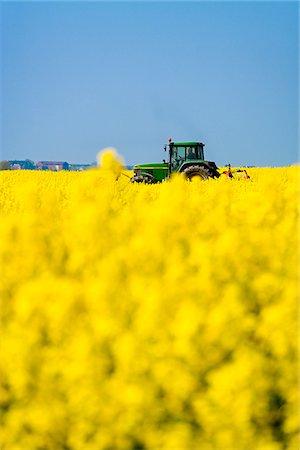 Tractor in a field, Pellworm Island, Northern Frisia, Schleswig Holstein, Germany Stock Photo - Rights-Managed, Code: 862-03888247