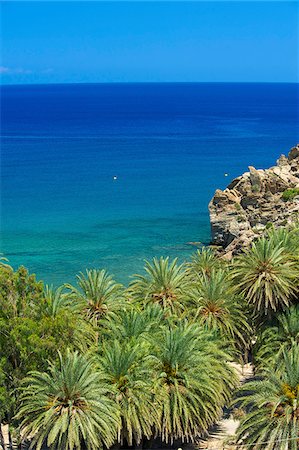 Vai Beach, East Coast,Crete, Greece Stock Photo - Rights-Managed, Code: 862-03888342