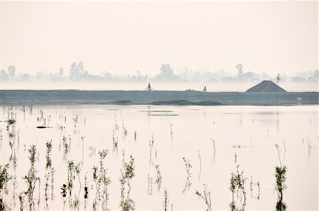 simsearch:862-03888415,k - Nationalpark Sundarbans, Tiger Reserve in der Dämmerung. Westbengalen Stockbilder - Lizenzpflichtiges, Bildnummer: 862-03888409