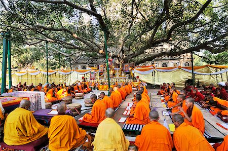 Tibetan monks in Bodhgaya, praying under the sacred Buddha banyan tree. It was here that the Buddha had the enlightenment. India Foto de stock - Con derechos protegidos, Código: 862-03888442