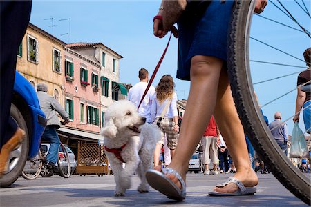simsearch:862-03888567,k - Dog, Corso del Popolo, Chioggia, Venice, Veneto, Italywoman Stock Photo - Rights-Managed, Code: 862-03888541