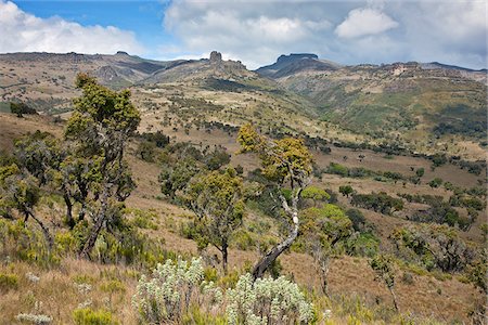 felsspitze - Einige der zerklüfteten Gipfel des Mount Elgon. Steigt zu einer Höhe von 14.140 Füße, ist Elgon der älteste und größte einsamen Vulkan in Ostafrika. Stockbilder - Lizenzpflichtiges, Bildnummer: 862-03888685