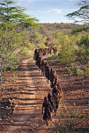 ritual - After 2-3 months seclusion, Pokot initiates leave their camp in single file to celebrate Ngetunogh.  They must wear goatskins, conceal their faces with masks made from wild sisal (sansevieria) and carry bows with blunt arrows until this ceremony is over. Stock Photo - Rights-Managed, Code: 862-03888759