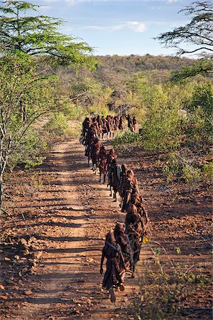 file (colonne) - Après isolement de 2-3 mois, Pokot initiés quittent leur camp en file indienne pour célébrer Ngetunogh. Ils doivent porter des peaux de chèvre, dissimulent leur visage avec des masques faits de sisal sauvage (sansevieria) et portent des arcs avec flèches émoussés jusqu'à la fin de cette cérémonie. Photographie de stock - Rights-Managed, Code: 862-03888759