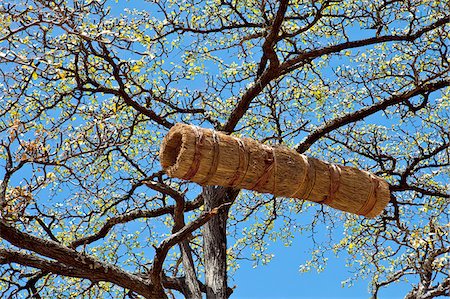 A traditional Pokot beehive or honey barrel.  The hollowed-out tree trunk is wrapped in grass to keep it cool in the very hot climate of the low-lying areas of Pokot country. Stock Photo - Rights-Managed, Code: 862-03888765