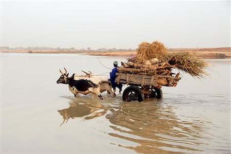 simsearch:862-03888776,k - People crossing the Bani river going to the market of Djenee. Mali, West Africa Stock Photo - Rights-Managed, Code: 862-03888796