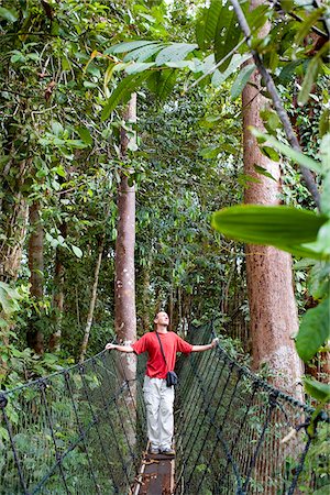 simsearch:862-03364327,k - Homme sur une jungle trail, parc national de Batang Ai, Sarawak, à Bornéo, Malaisie Photographie de stock - Rights-Managed, Code: 862-03888813