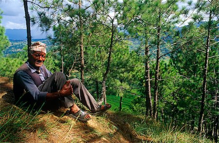 simsearch:862-03807589,k - Nepal, Kathmandu Valley, nr Dakshinkali. A village shepherd rests amidst pine trees on a hillside. Stock Photo - Rights-Managed, Code: 862-03888942