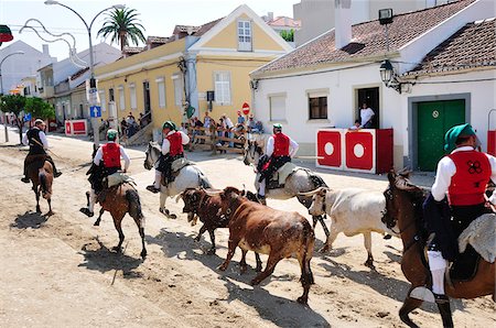 Traditional running of wild bulls in Alcochete, Portugal Foto de stock - Con derechos protegidos, Código: 862-03889110