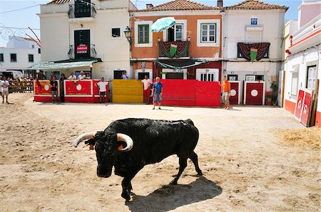 Traditional running of wild bulls in Alcochete, Portugal Foto de stock - Con derechos protegidos, Código: 862-03889111