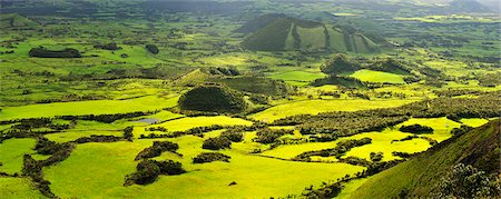 pico island - Volcanic landscape with pastures between craters. Pico, Azores islands, Portugal Stock Photo - Rights-Managed, Code: 862-03889229