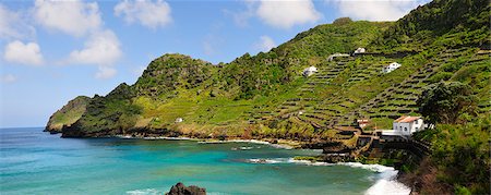 Sao Lourenco baie avec des vignobles en terrasses au bord de la mer. Santa Maria, Açores, Portugal Photographie de stock - Rights-Managed, Code: 862-03889222