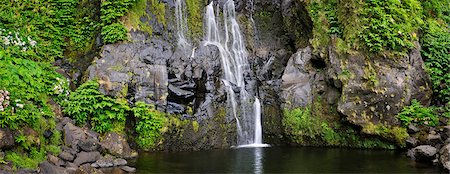 A waterfall at Faja Grande. Poco do Bacalhau. Flores, Azores islands, Portugal Stock Photo - Rights-Managed, Code: 862-03889285