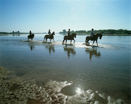 simsearch:862-05998856,k - A group of horsemen on the Tagus river, Santarem, Portugal Stock Photo - Rights-Managed, Code: 862-03889307